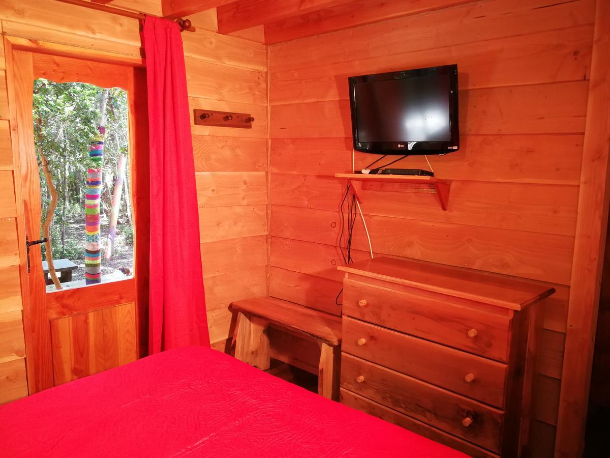 Okori Hostel Pucon Ngoại thất bức ảnh