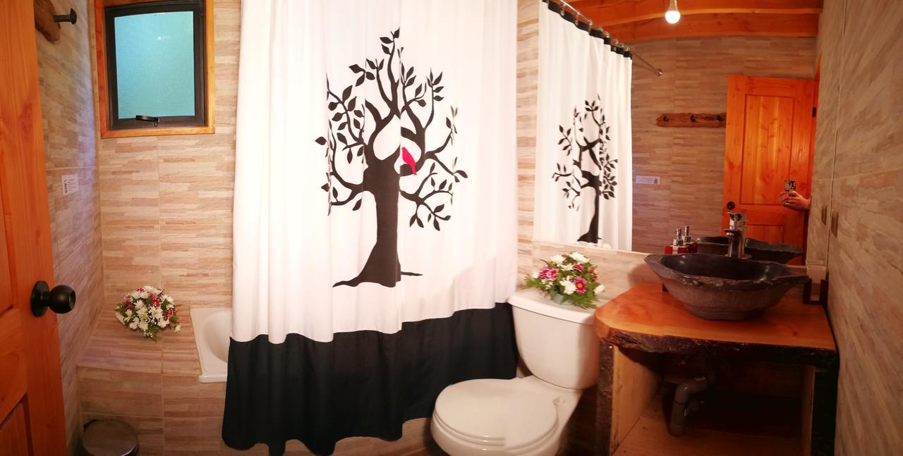 Okori Hostel Pucon Ngoại thất bức ảnh